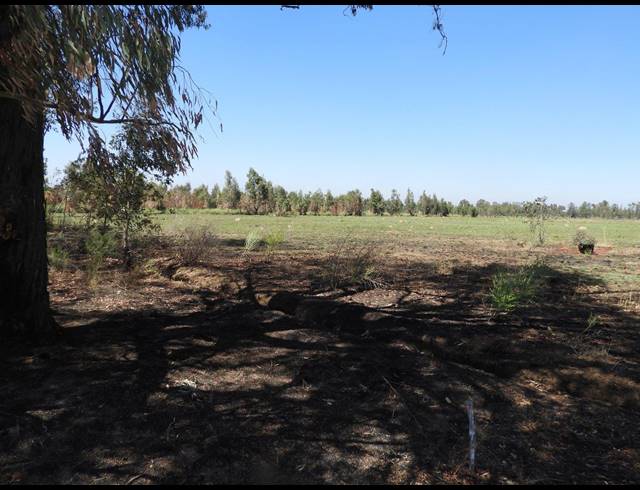 115,300M² VACANT LAND FOR SALE IN DE DEUR